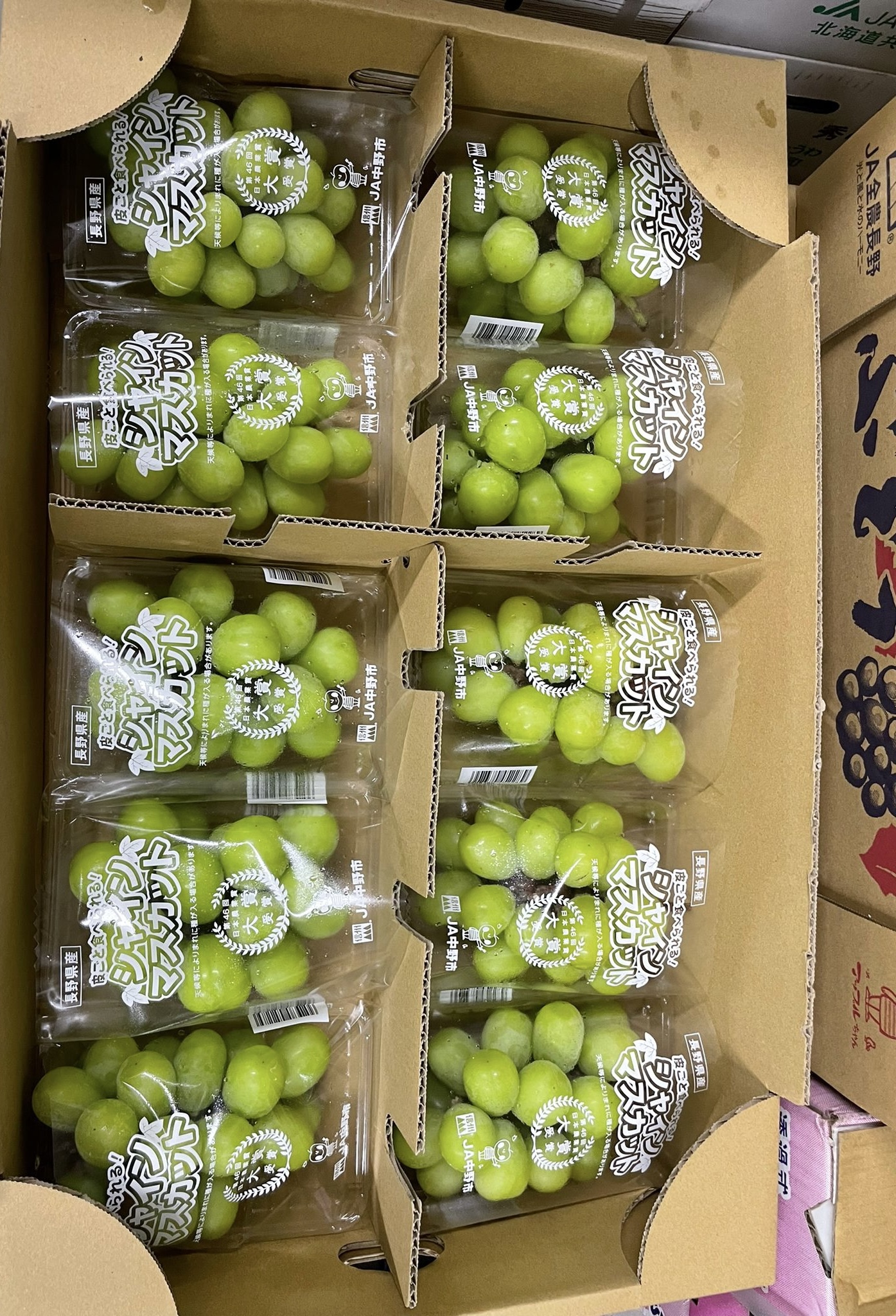 陽光香印提子